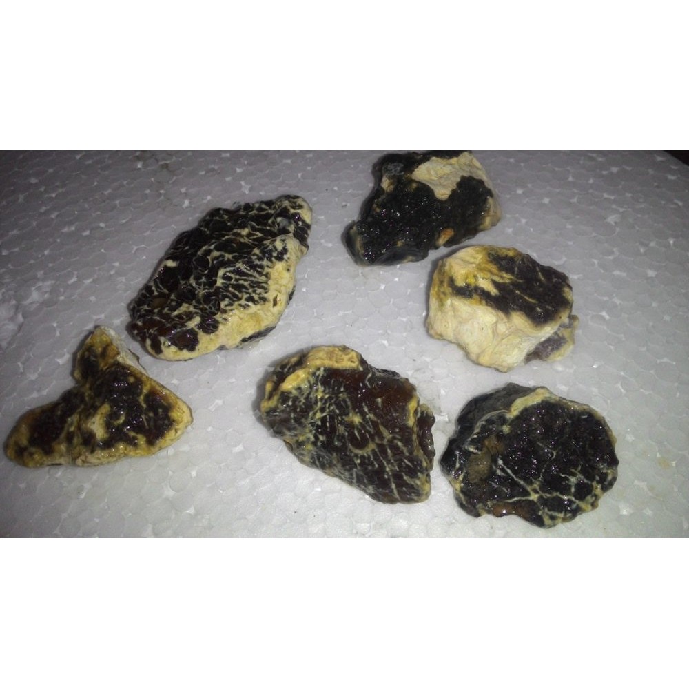 RAFFLESIA BENGKULU HQ HARGA GROSIR BAHAN / ROUGH