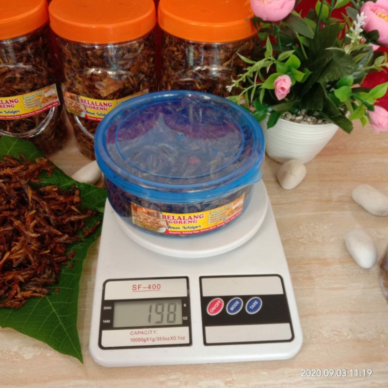 

belalang goreng Toples Cantik berat 190gram