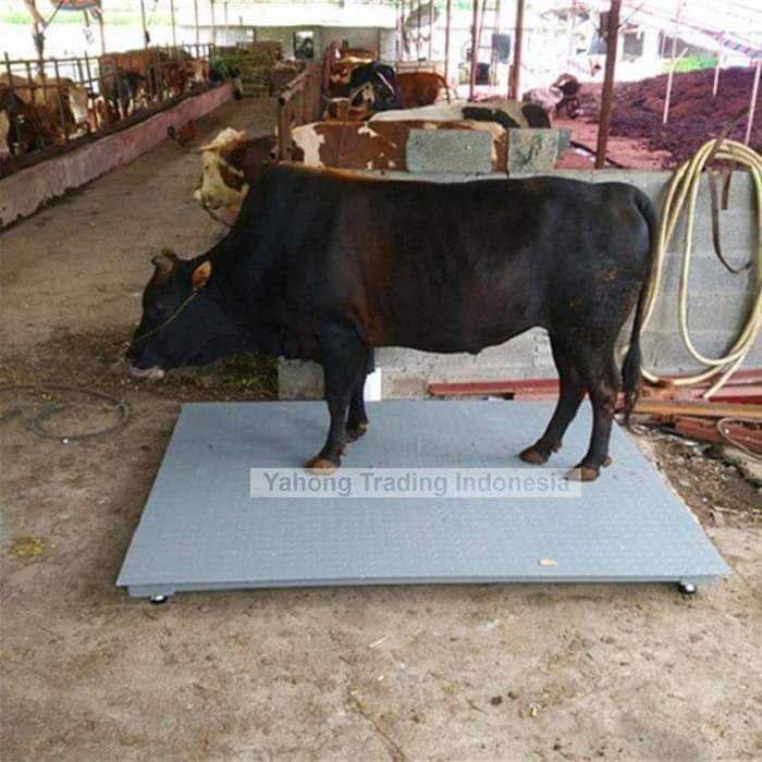 Timbangan Lantai Digital Timbangan Hewan Sapi Barang YHG A12E 1m x 1m 2ton 0.2kg