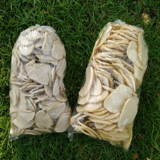 

KERUPUK IKAN KHAS SIDAYU GRESIK 500g harga reseller