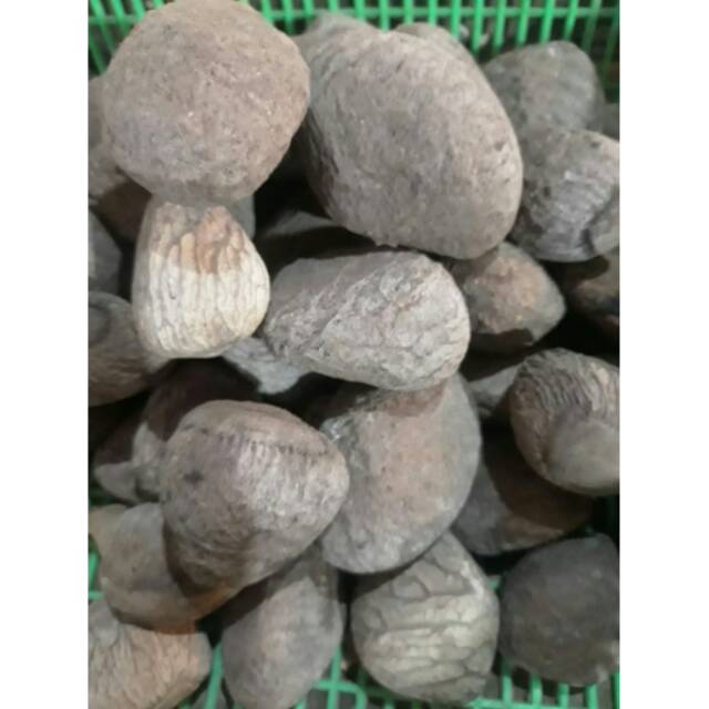 

Kluwuk / Pucung 250gr