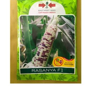 Benih Jagung Pulut Rasanya F1 isi 250 gram