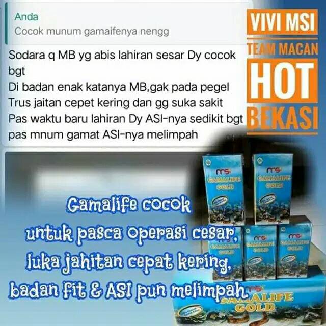 Kapsul GAMAT TERIPANG EMAS MSI ORIGINAL
