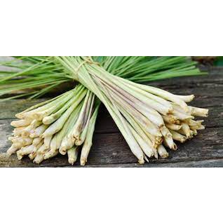 

Serai batang 400 gr bumbu pelengkap dapur