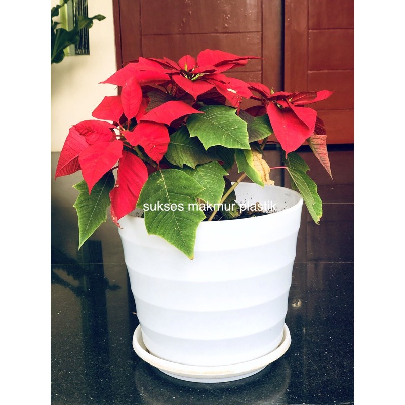 Pot Mado 32 dan Tatakan - Pot Bunga ukuran 27cm merk Lovenia