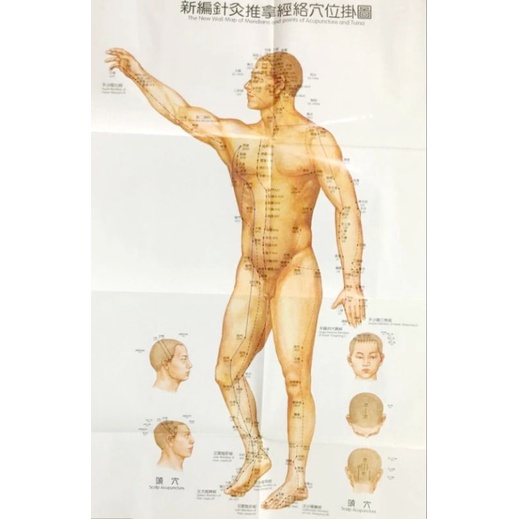 Poster Akupuntur / Acupuncture Meridians Map / Gambar Dinding Akupuntur Tuina Set