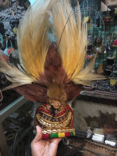 Hiasan Kepala Burung Cendrawasih Shopee Indonesia