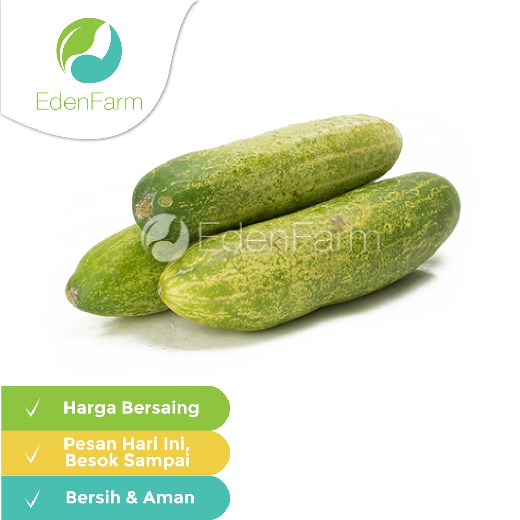 

Timun Lalap 250gr Eden Farm