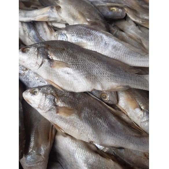 

lp✸Ready Stok✲ Ikan Asin Sileman 500 gr J51