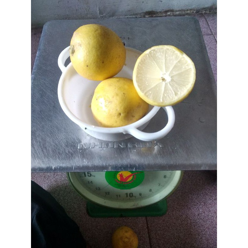 

BUAH JERUK LEMON LOKAL 1 KG