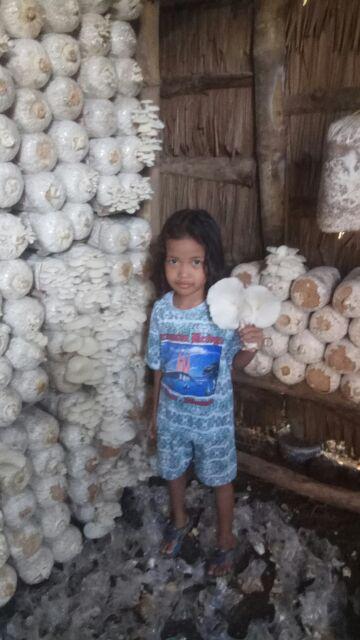 Plastik Kemasan Stand Up Super Clear - Transparan Dengan Zipper 22x14