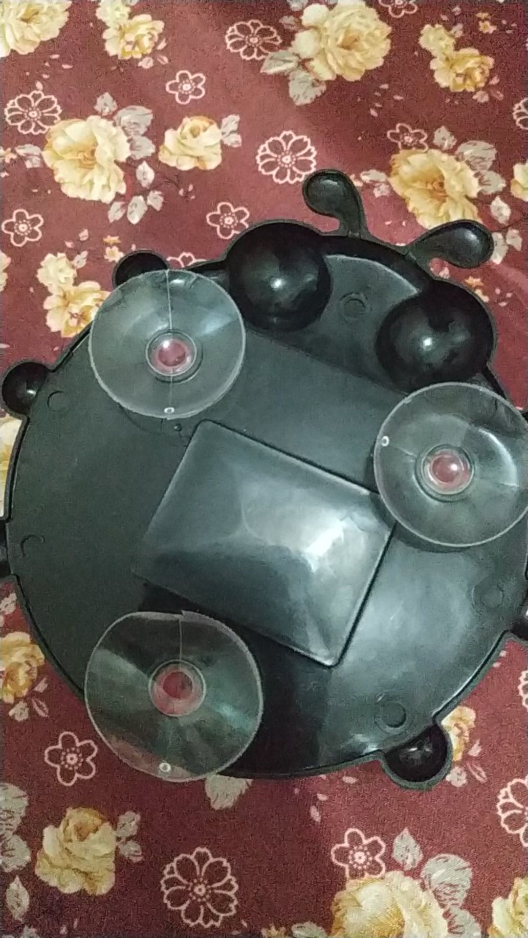 Tempat Odol Dan Sikat Gigi Tempel Ladybug