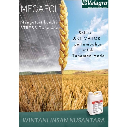 Pupuk Organik Cair Valagro MEGAFOL Biostimulant isi 250 ml - ANTI STRESS PADA TANAMAN