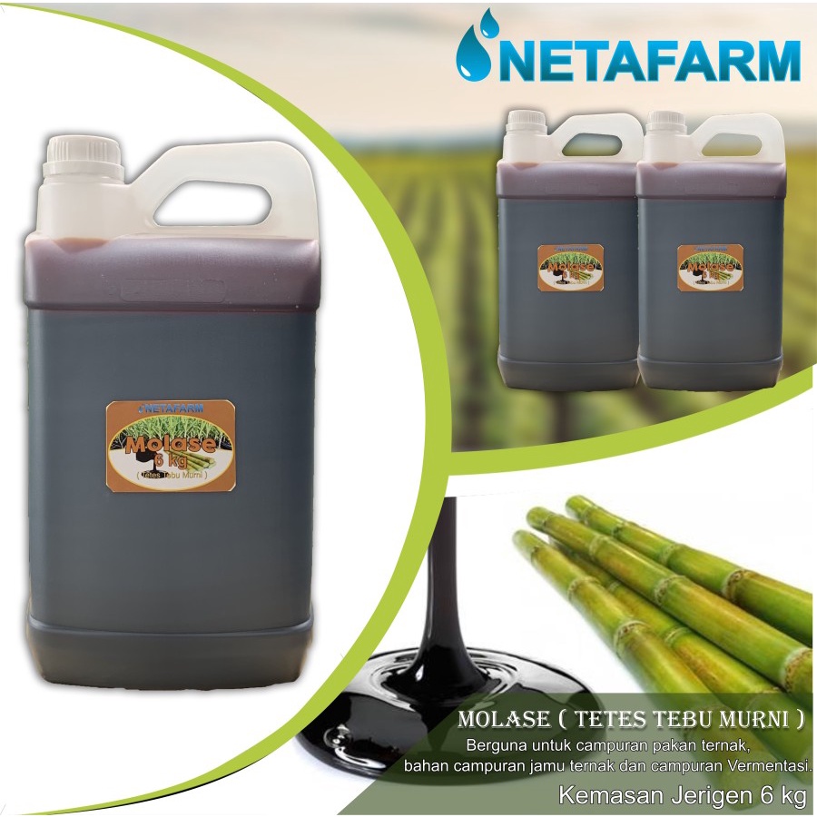 Molase Tetes Tebu Murni Kemasan Jerigen 6 kg - 1 pcs