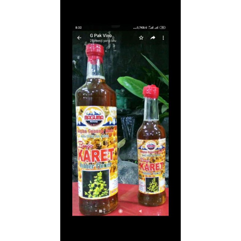 

Madu Karet