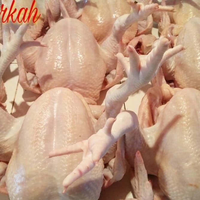 

Ayam Ukuran 6 Ons S/D 1 Kg