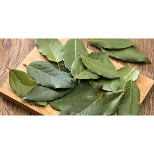 

Daun salam Bay leaf Bumbu dapur