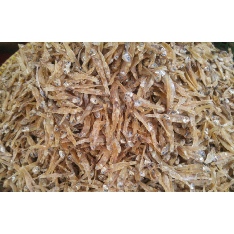 

IKAN TERI ASLI BENGKULU