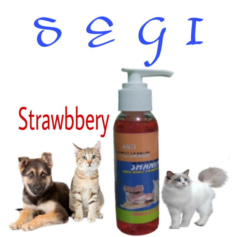 Paket Shampoo grooming Bonus bola krincing kucing Anjing Keliinci Harum strawberry 100ml