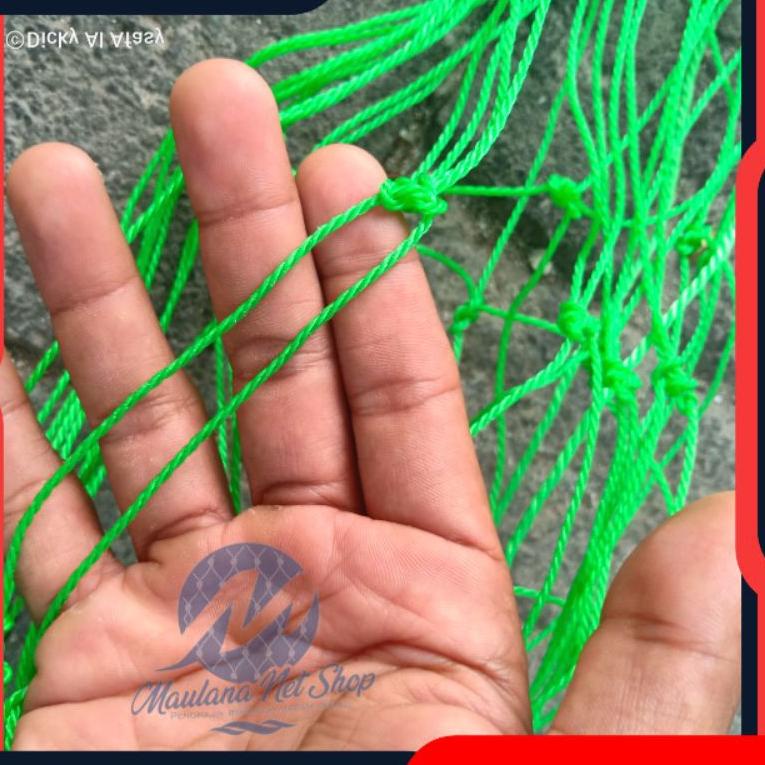 [KODE PFWEU] Jaring Rambatan Tanaman/Jaring Tanaman Buah Anggur/Melon/Sayuran/HIJAU TALI FRAME