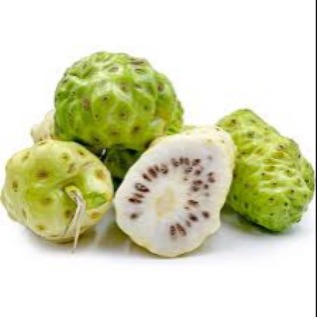 

Buah mengkudu / pace / buah Nona
