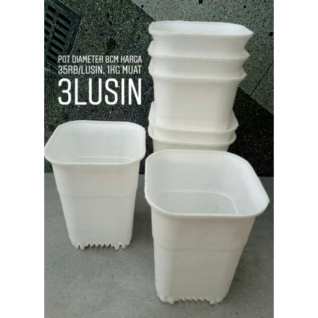 pot kotak 8cm putih