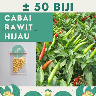 50 Benih Bibit Cabai Rawit Hijau Kerinci Sayuran Unggul - Benih Biji Tanaman Sayur Seribuan Official