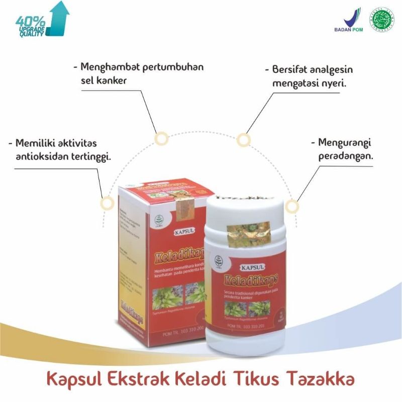 Kapsul Ekstrak Keladikaps 60caps - Keladi Tikus Ampuh Mengobati Kanker