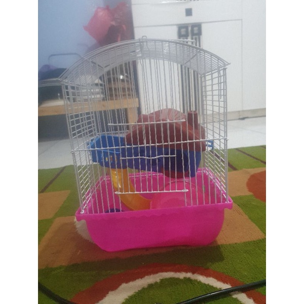 kandang hamster murah komplit