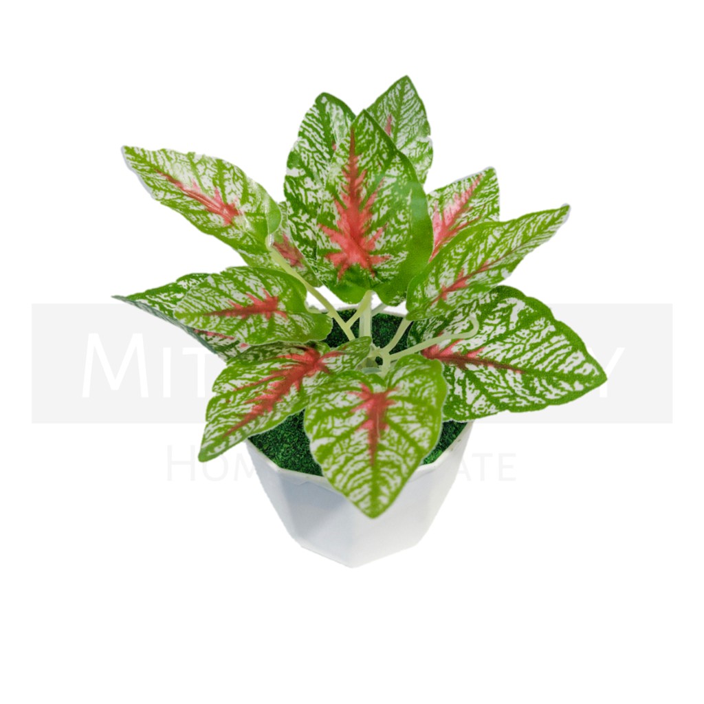 DAUN HIAS PLASTIK TANAMAN BUNGA PLASTIK BUNGA DEKORASI RUMAH TANAMAN HIAS PALSU BUNGA ARTIFICIAL-MERAH