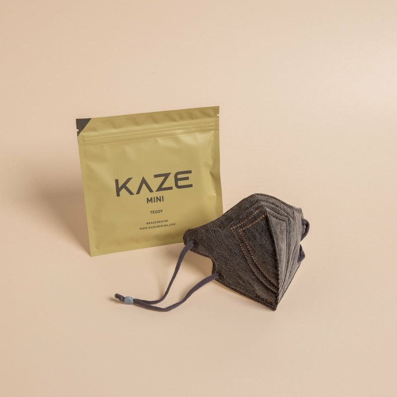 NEW ORIGINAL KAZE MINI MASK CUDDLE TEDDY