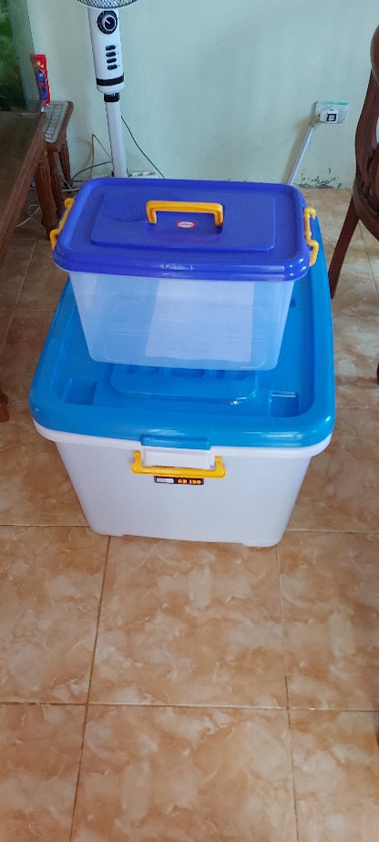Shinpo Container Box Hercules Cb 150
