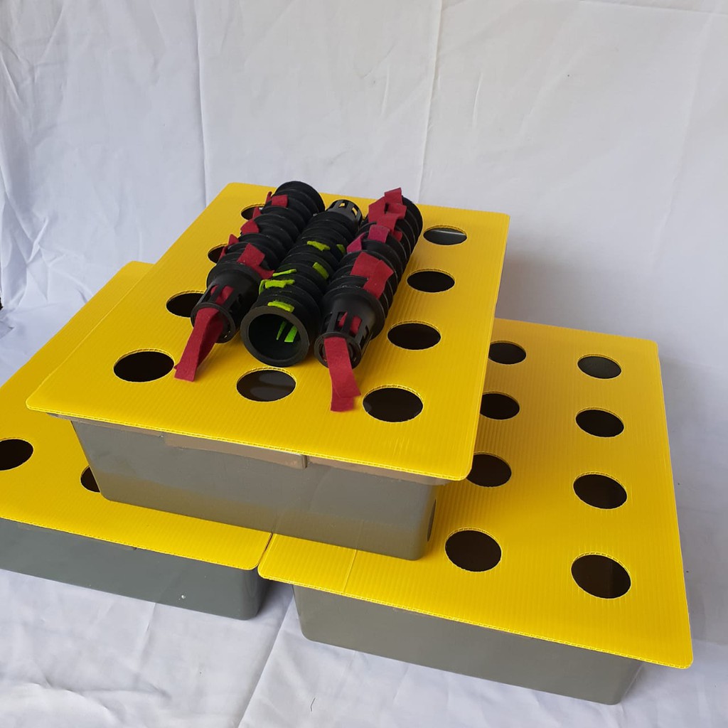 PAKET BAKI 36 LUBANG 3 BAK / ISI BACA DESKRIPSI - SET HIDROPONIK