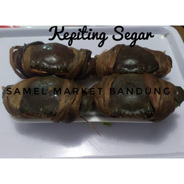 

Kepiting Segar 1 kg