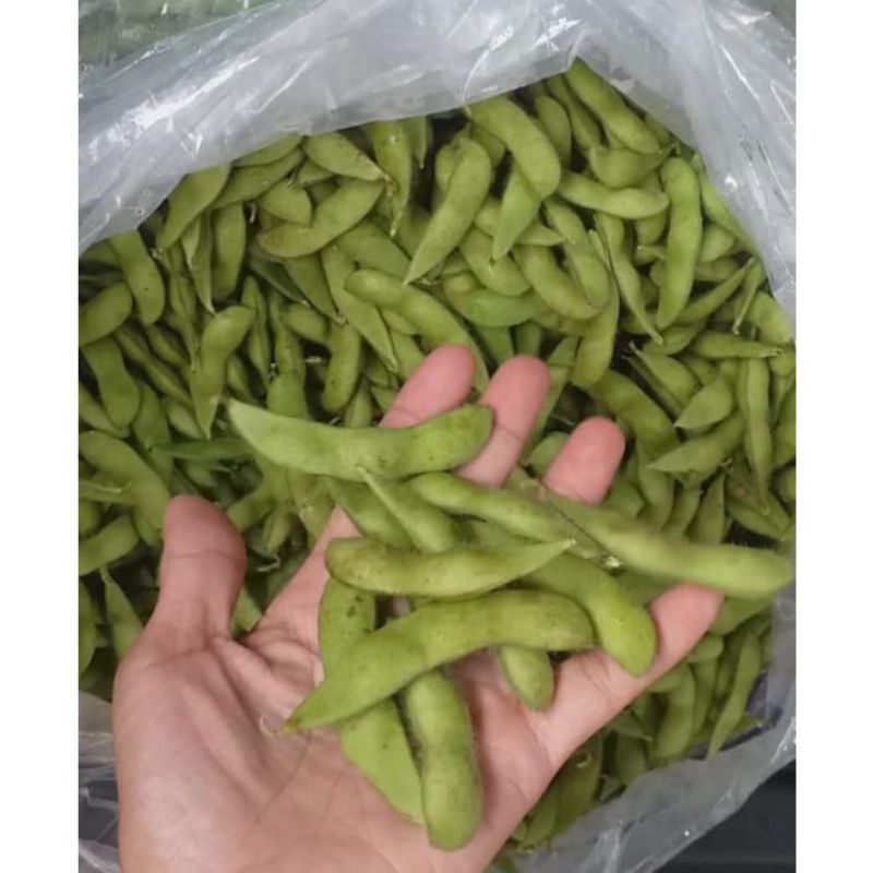 

kacang edamame fresh 1kg