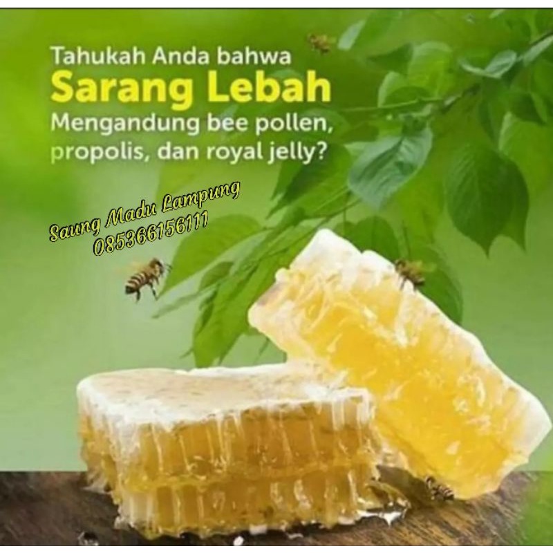 

Madu Sarang Melifera 500g