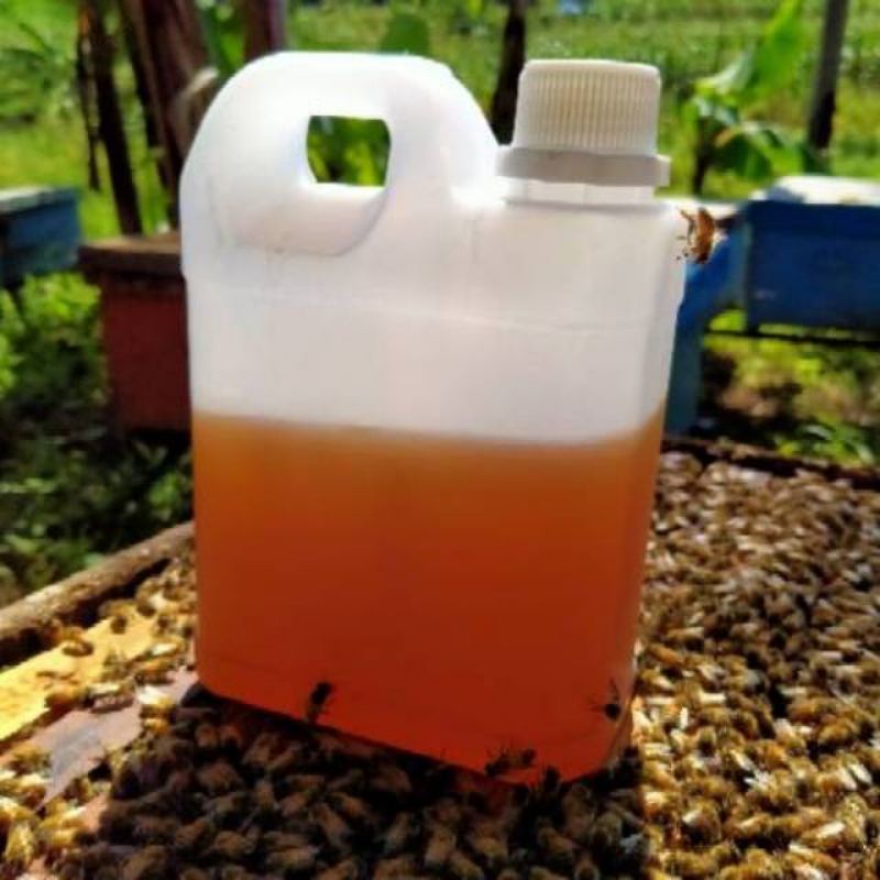 Madu sarang perasan madu murni sarang madu peras 1 kg