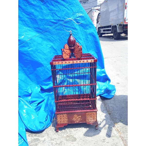 kandang burung ciblek kolibri pleci ukir semar