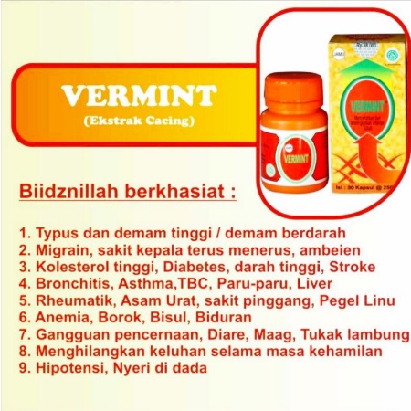 Vermint Kapsul  Obat Typus  Obat Demam Original 30 Kapsul