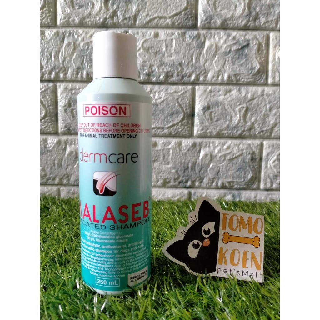 Malaseb Medicated Shampoo - Shampoo Jamur Kucing / Anjing