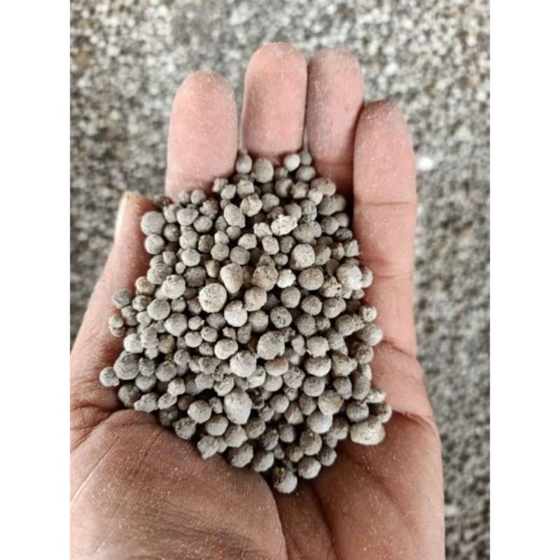 Pupuk TSP SP-36 / Pupuk SP 36 Penyubur Tanah 1 kg