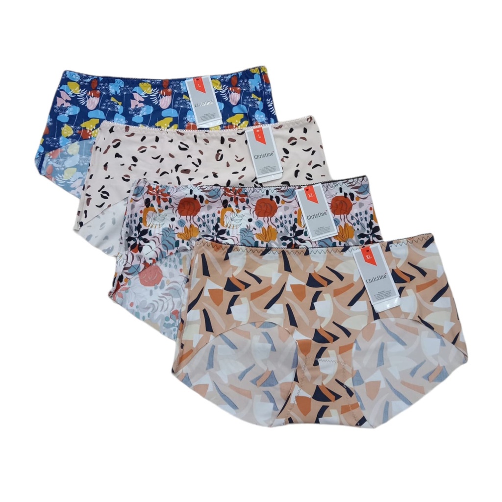 Glena By Christine Seamless Panty - Bundling 4pcs