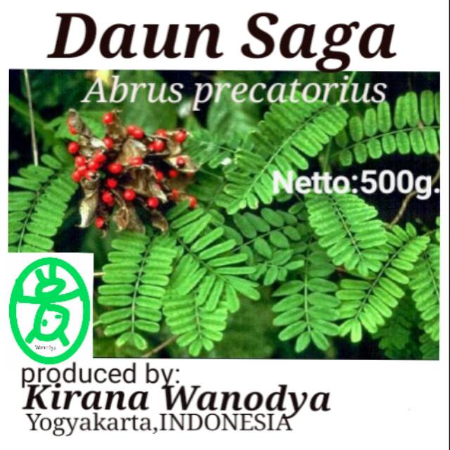 

Daun Saga Bubuk 500g - Kirana