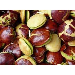 

Jengkol 250gr Medan / pajak online medan