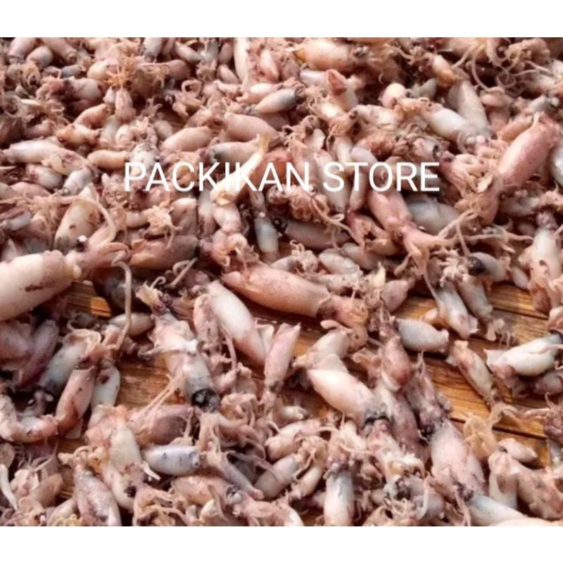 

Cumi Rebusan Segar dan Bergarasi 100g