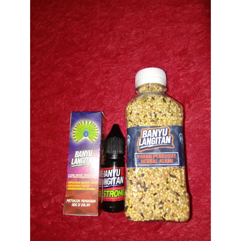 banyulangitan pakan perkutut banyu langit