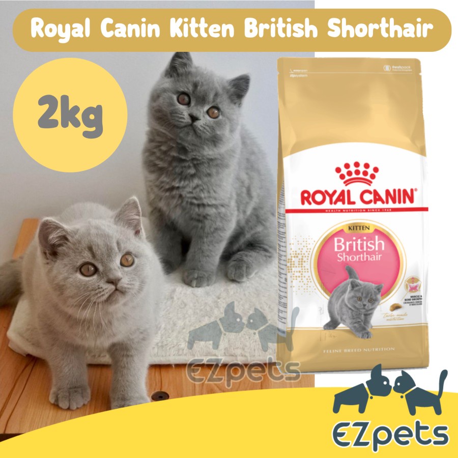 Royan Canin British Shorthair Kitten 2kg Makanan Kering Kucing BSH