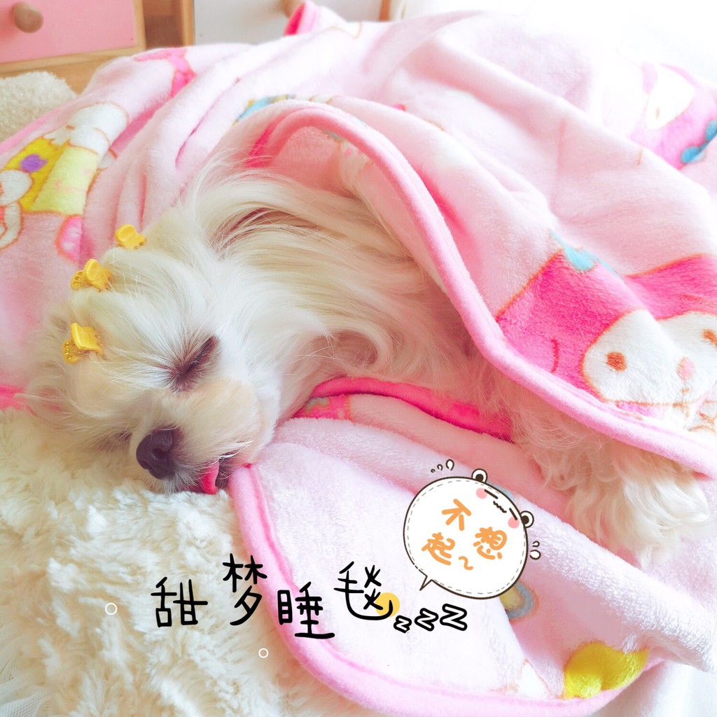 Flanel Selimut Tidur Mimpi Indah Lembut Dan Nyaman Kucing Anjing