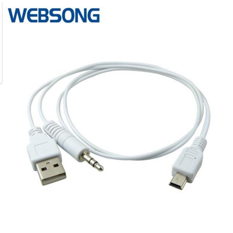 Kabel 5pin mini USB M to Audio M Male USB M Male Websong