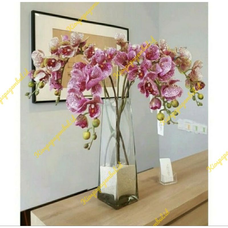 GELAS KACA BENING TINGGI KOTAK WW DESIGN COCOK DIGUNAKAN SEBAGAI HIASAN RUANG TAMU & VAS BUNGA